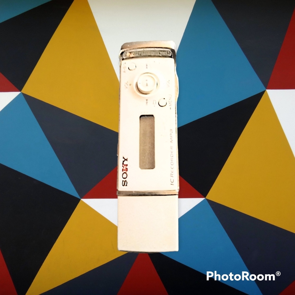 Sony Handheld Portable Voice Recorder